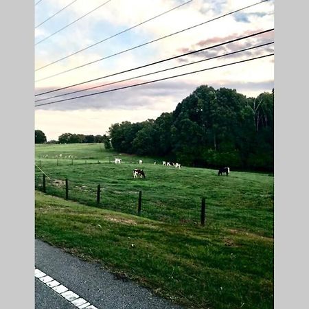 فيلا Clemson Farmhouse المظهر الخارجي الصورة