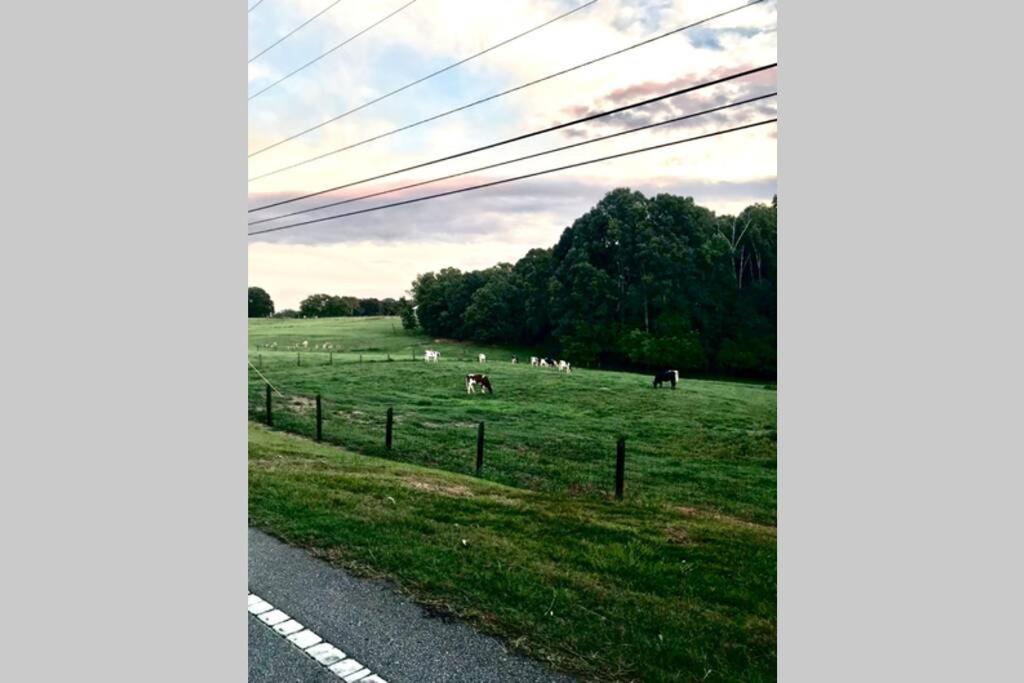 فيلا Clemson Farmhouse المظهر الخارجي الصورة